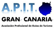 El logo de APIT