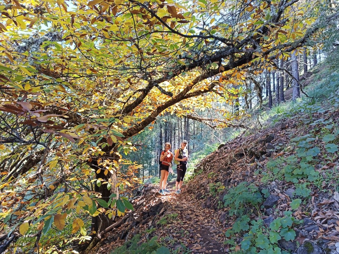 Imagen de dos personas haciendo una ruta